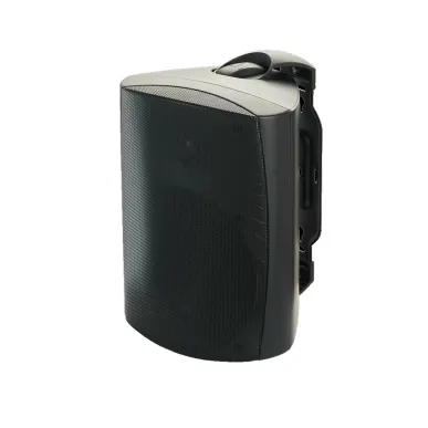 Настенная акустика Martin Logan ML-65AW black